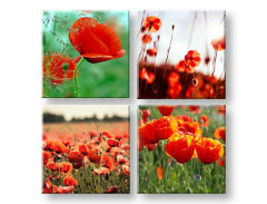 Пана за стена Meadow of poppy poppies 4- части Колаж XOBKOL17E42