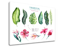 Пана за стена с текст Tropical set flamingo