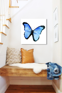 Картина огледало Синя пеперуда Mirrora 15 - 50x50 cm