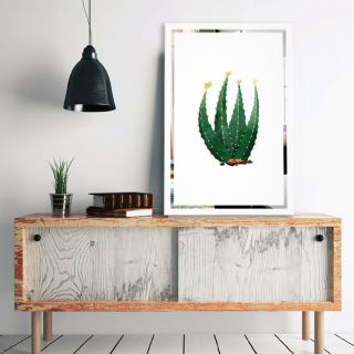 Картина върху огледало Кактус Mirrora 69 - 60x40 cm