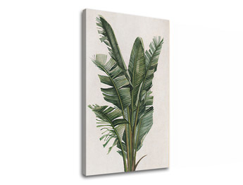 Изображението на платно PLANTS 007