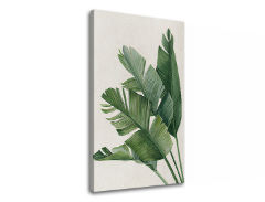 Изображението на платно PLANTS 008