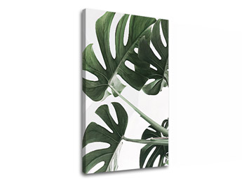Изображението на платно PLANTS 009