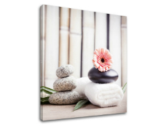 Изображението върху платно FENG SHUI_053-12
