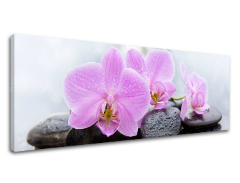 Изображението върху платно FENG SHUI_062-13