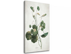 Изображението върху платно PLANTS 011