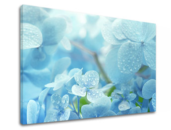 Картина за стена BLUE FLOWERS_152-11