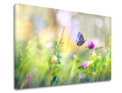 Картина за стена COLORFUL FLOWERS_161-11