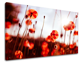 Картина за стена FLOWERS MAKY XOBKV121E11