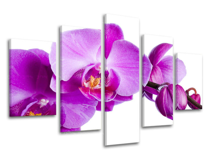 Картина за стена от 5 части FLOWERS XOBKV135E50
