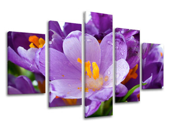 Картина за стена от 5 части FLOWERS XOBKV137E50