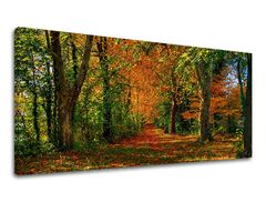 Картина за стена ПАНОРАМА ДЪРВЕТА 60x120 cm