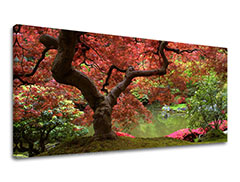 Картина за стена PANORAMA TREES XOBST001E13 50X100 cm