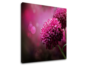 Картина за стена PINK FLOWERS_149-11