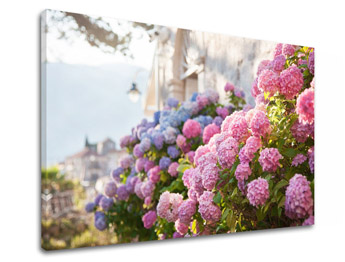 Картина за стена PINK FLOWERS_157-11
