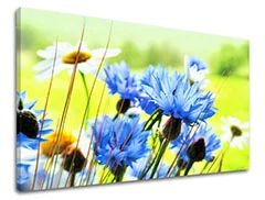 Картина за стена ЦВЕТЯ Отстъпка 60 % 60X90 cm