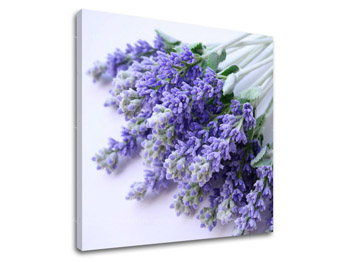Картина за стена ЦВЕТЯ XOBKV122E12