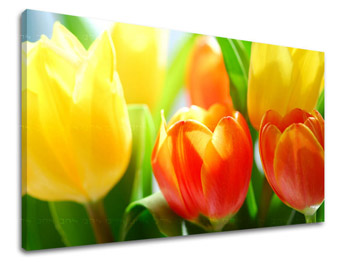 Картина за стена ЦВЕТЯТА TULIPANS XOBKV140E11