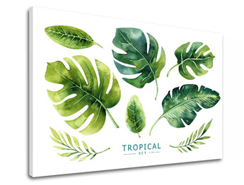 Картини за стена с текст Tropical set
