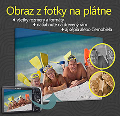 Образът от снимката - OBDŽŽNIK | различни размери