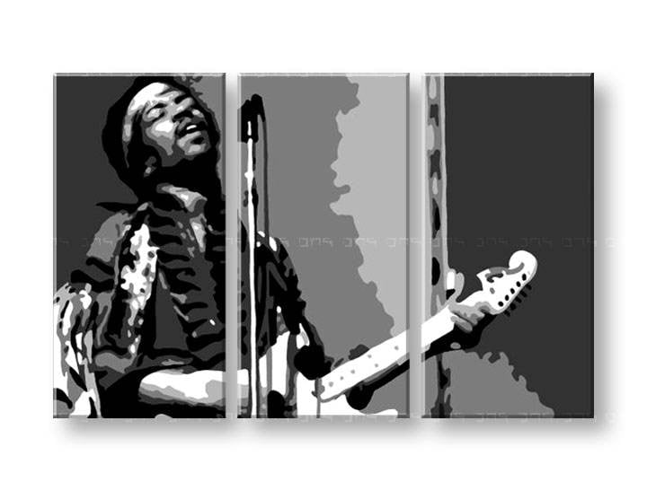 Картини за стена Pop Art Jimmy Hendrix 3 части 