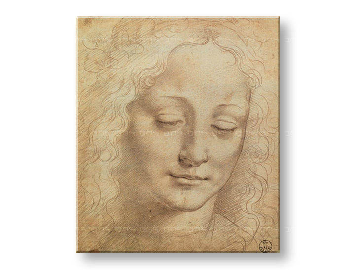 Картини на платно ЖЕНСКА ГЛАВА 3 - Leonardo Da Vinci