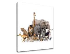 Рисуване на стена ANIMALS_051-12