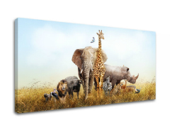 Рисуване на стени ANIMALS_050-11