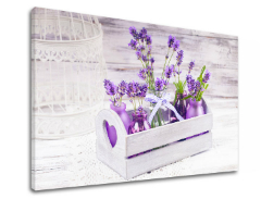 Стенопис FIAL FLOWERS_164-11
